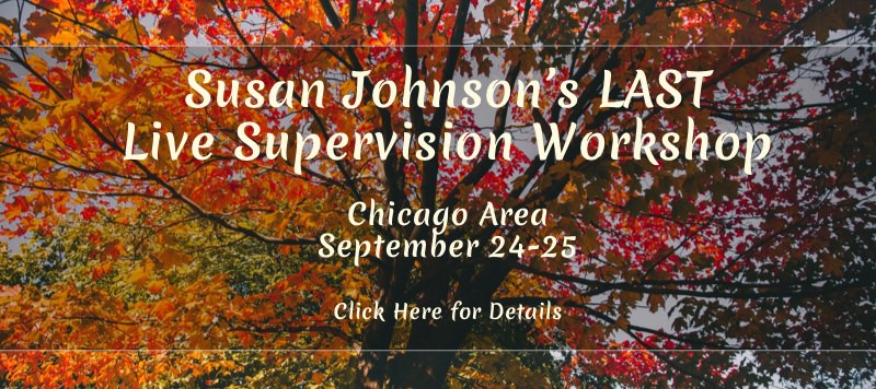 Last Live Supervision WEB Banner
